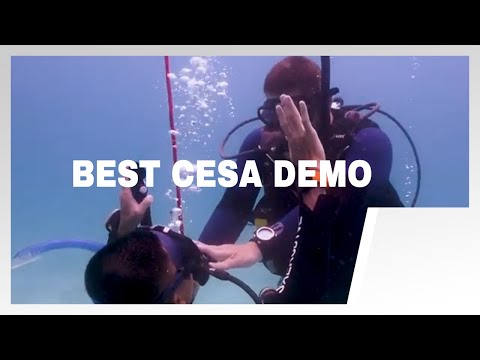 How to Conduct a Controlled Emergency Swimming Ascent (CESA) 🤿  PADI Open Water Diver Skills