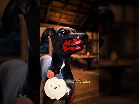 ลัคกี้ที่น่าสงสาร!