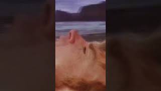 Silverbird  - Justin Hayward (Moody Blues)