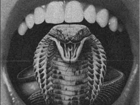 Dairis Grēks - Asa Mēle piedz. Grafomāns