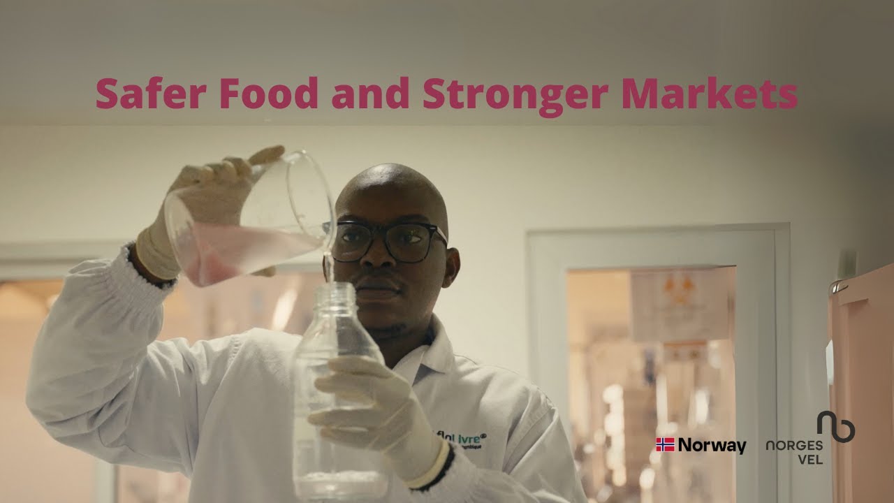 Fighting Aflatoxins: Safer Food, Stronger Markets