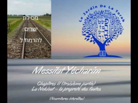 Messilat Yecharim – Chapitres 11 (partie 3) Nekiout Nourritures interdites