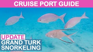 Grand Turk: Snorkeling On Your Own Update