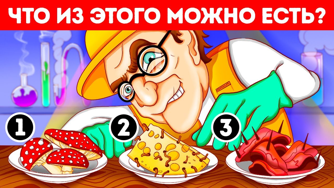 Даже мой знакомый ученый не справился со всеми 10 загадками