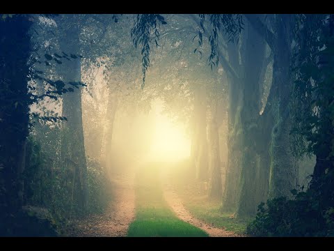 Spiritual Portal Guided Meditation: Access Lucid Threshold States to Evolve and Awaken