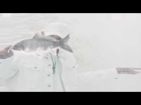 ZTAO - Black White (AB) [Romanian Sub]