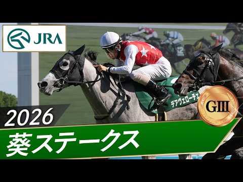 2026 Aoi Stakes (GIII) | Der Veloche | Official JRA