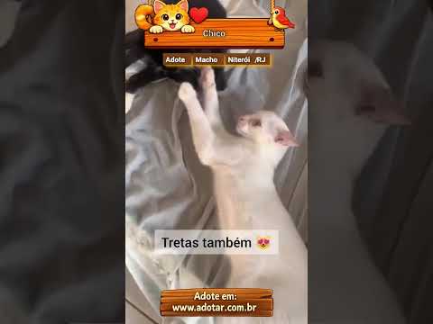 Vídeo de Chico