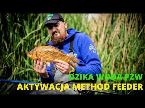 Dzika woda PZW, Aktywacja method feeder