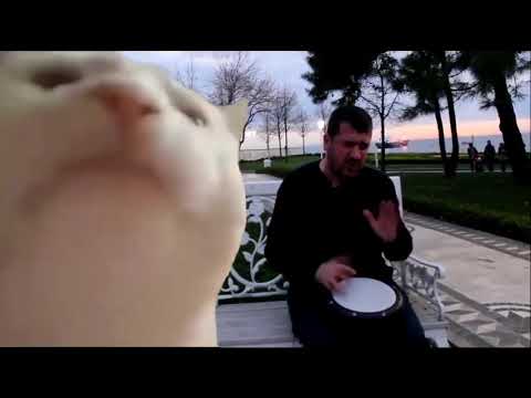 Cat version.Patlamaya devam.