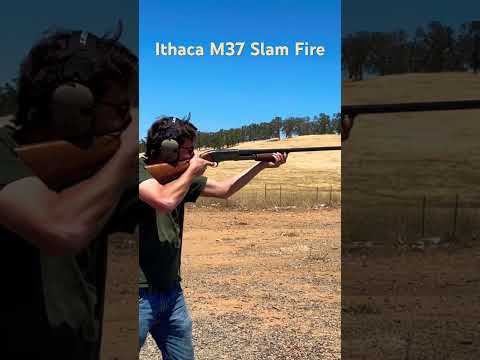 M37について詳しく解説