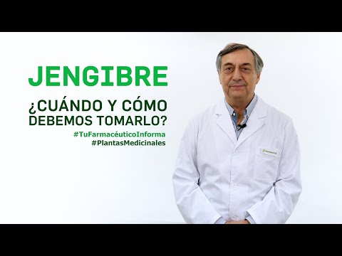 Cuándo Es El Mejor Momento Para Tomar Jengibre