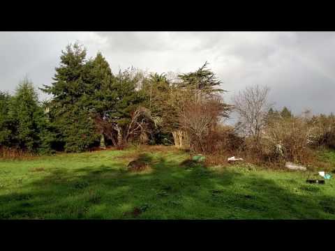 Rainbow After the storm 11-19-2016