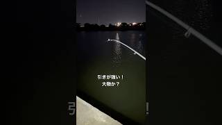 #釣り #フィッシング #海 #ウナギ釣り #釣りガール