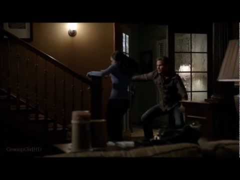 The Vampire Diarie 3x17 Alaric Attacked Meredith Scene.