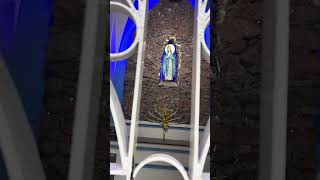 #nagpur #grotto #mary #catholic #miracle #prayer #miraculous #viral #religion #youtube #video #pray