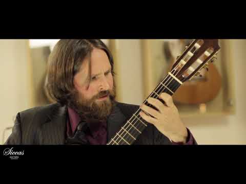 Jacob Cordover plays Golondrinas from Platero y yo by M. Castelnuovo-Tedesco on a 2013 K. Panhuyzen