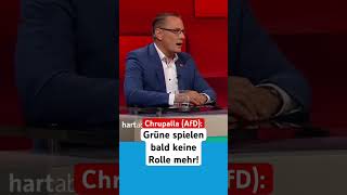 Grüne spielen keine Rolle mehr ‼️ #afd #nachrichten #politik #spd #bun