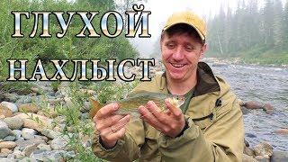 Журнал нахлыст 56 номер содержание