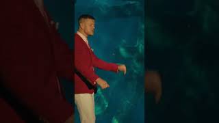 Download lagu You're swimming with sharks... #shorts #sharks mp3