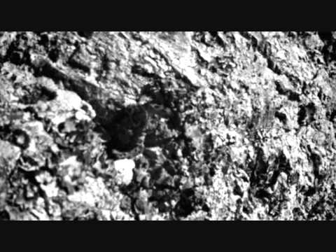 SICULICIDIUM  Album Teaser 2013