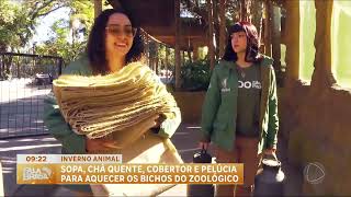 Sopa, chá e peluches: os cuidados especiais para os animais do zoológico de São Paulo no inverno