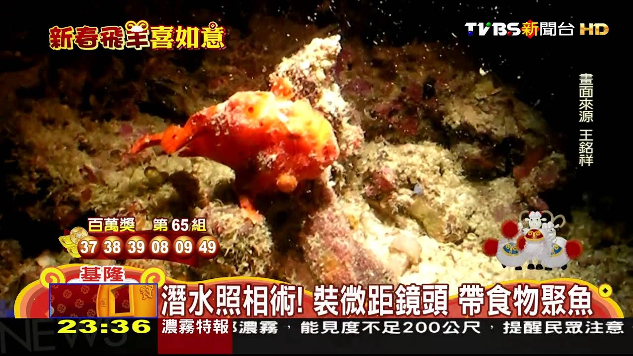潛水照相術!裝微距鏡頭 帶食物聚魚