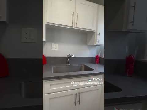 LB1335 - Video 2 of 2