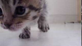 5/24(金)は受付18時まで!!