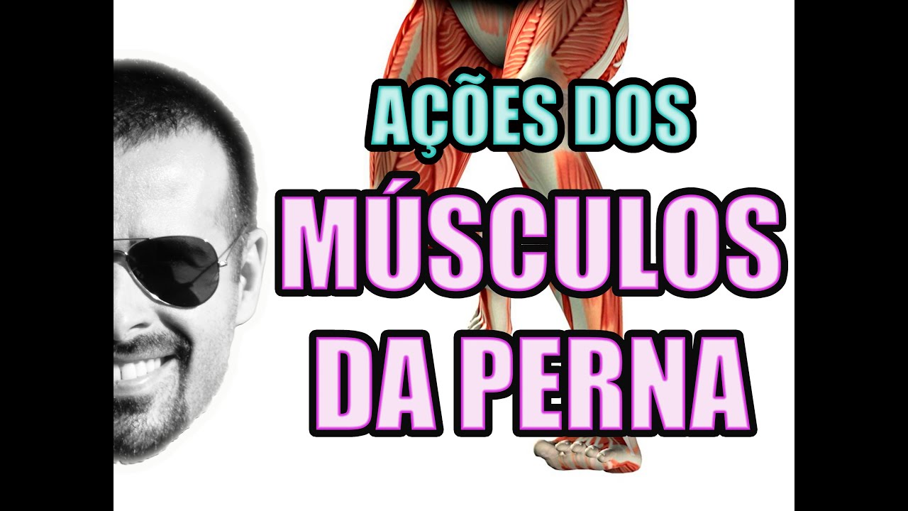 Vídeo Aula 124 - Anatomia Humana - Sistema Muscular - Ação dos Músculos da Perna e Panturrilha