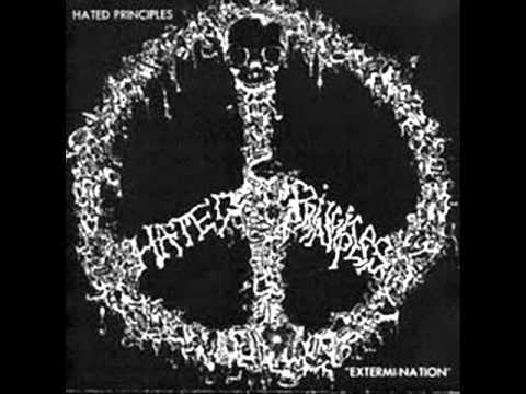Hated Principles - Mad At The System