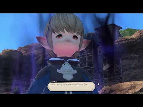 FFXIV ARR : THM Lv20 The Threat of Perplexity - Walkthrough