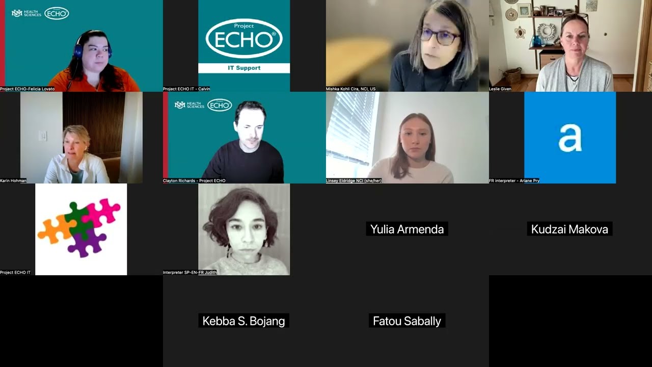 Session 3: Creating and Using an NCCP Implementation Plan