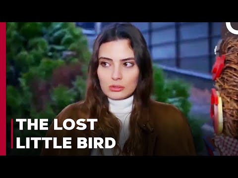 Firat to Leyla's Rescue - Can't Stop Loving You