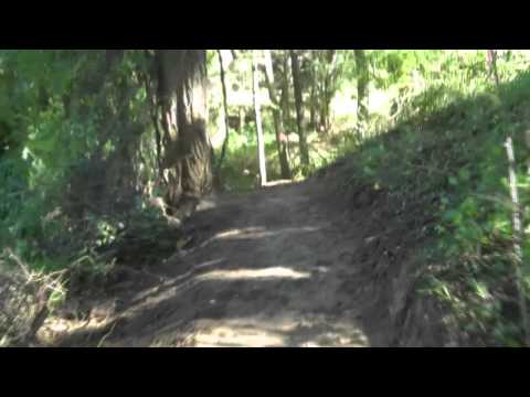 WRNP Green Trail Before & After