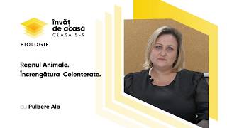 Regnul Animale. Încrengătura  Celenterate