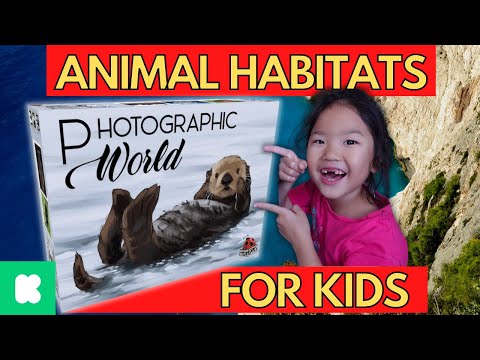 PHOTOGRAPHIC WORLD - Gameschooling Science: Animal Habitats & Geography | Kickstarter Preview