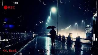 WHITESNAKE - Summer Rain