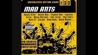 Mad Ants Riddim Mix (2002) By DJ.WOLFPAK