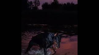 Asap Rocky - Purple Swag (remix) #asaprocky  #asapmob 2023