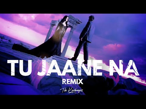 Tu Jaane Na remix | Lofi | The Keychangers | Harsh visuals