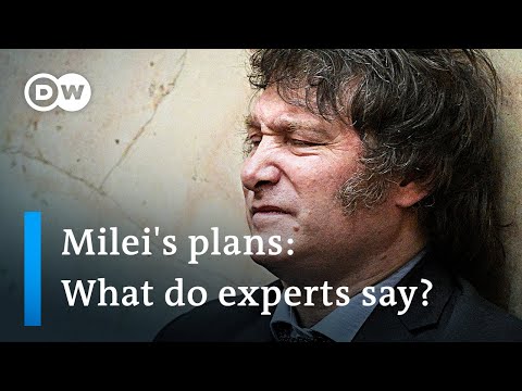 What experts think of ‘anarcho-capitalist’ Milei’s plan to dollarize the Argentinian economy?