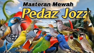 Download lagu PEDAZ JOZZZ‼️MASTERAN SEMUA JENIS BURUNG LOMBA#masteranburung mp3 Download lagu PEDAZ JOZZZ‼️MASTERAN SEMUA JENIS BURUNG LOMBA#masteranburung mp3