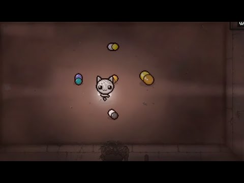 Horse Pill Experience