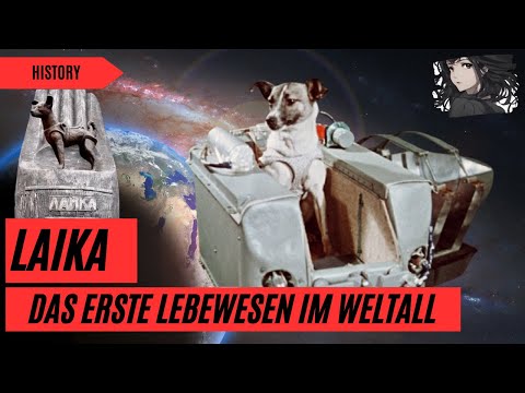"Reise ohne Wiederkehr I Die tragische Geschichte von Laika I Doku 2025