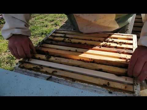 Расширение средних семей.