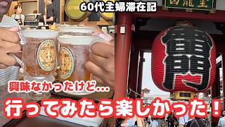 【姪のリクエストでハリーポッタースタジオと浅草浅草寺へ】日本一時帰国②滞在3日目&4日目!/シニアライフ60代/節約主婦#日本一時帰国
