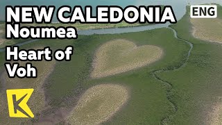 【K】New Caledonia Travel-Noumea[뉴칼레도니아 여행-누메아]산호바다와 맹그로프 하트 헬기투어/Heart of Voh/Helicopter/Kone Falls