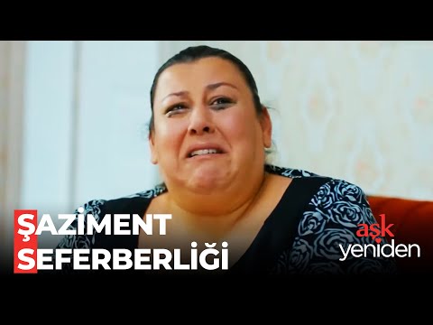 Ayfer'in Baş Belası: Şaziment - Aşk Yeniden