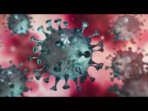 Videografik: So verbreitet sich das Coronavirus auf Oberflächen